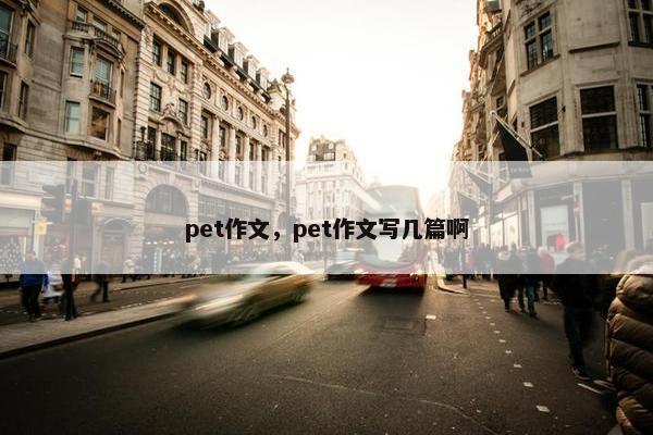pet作文，pet作文写几篇啊