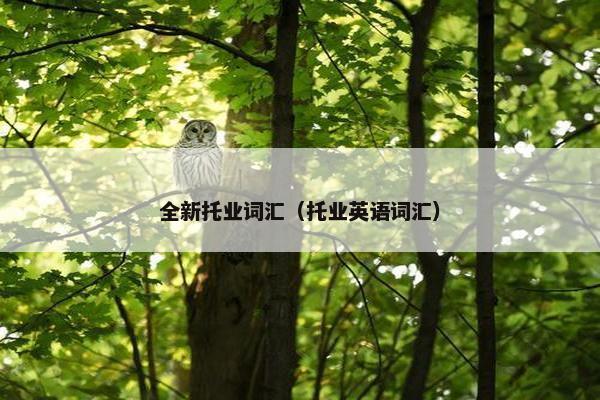 全新托业词汇（托业英语词汇）