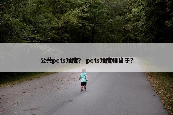 公共pets难度？ pets难度相当于？