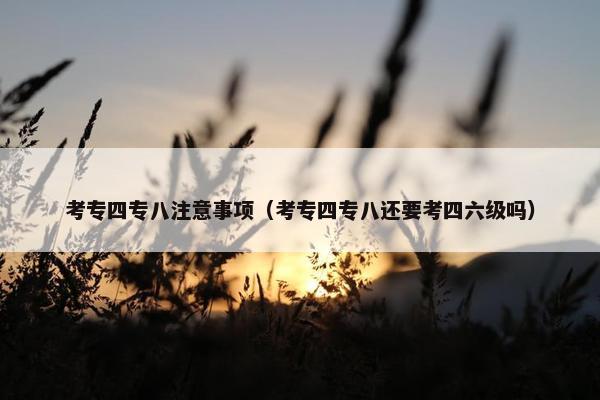 考专四专八注意事项（考专四专八还要考四六级吗）