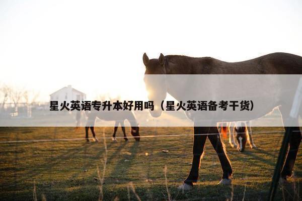 星火英语专升本好用吗（星火英语备考干货）