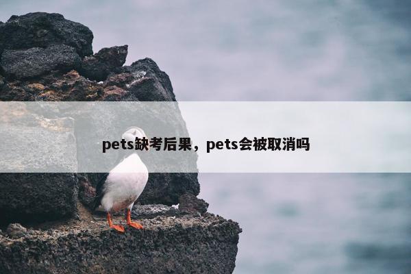 pets缺考后果，pets会被取消吗