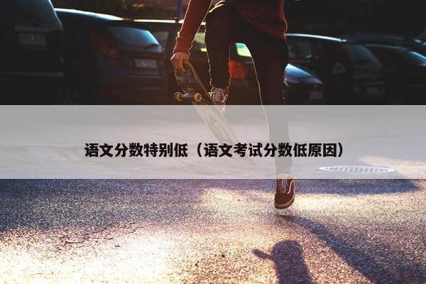 语文分数特别低（语文考试分数低原因）