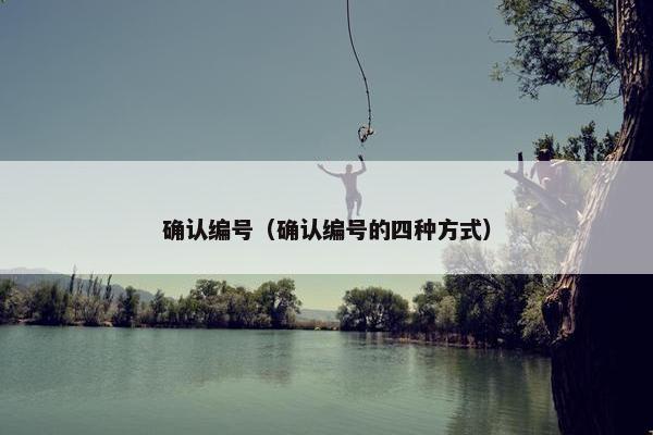 确认编号（确认编号的四种方式）