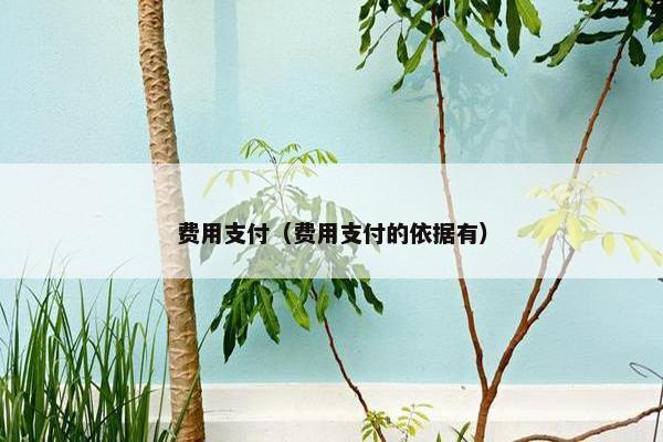 费用支付（费用支付的依据有）