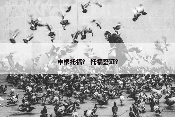 申根托福？ 托福签证？