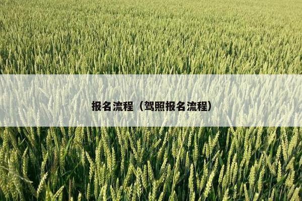 报名流程（驾照报名流程）