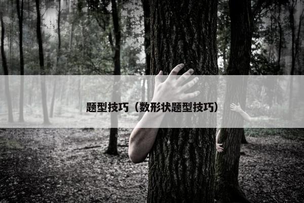 题型技巧（数形状题型技巧）