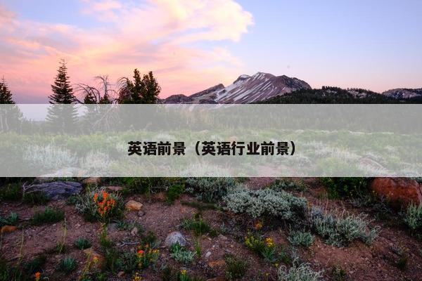 英语前景（英语行业前景）