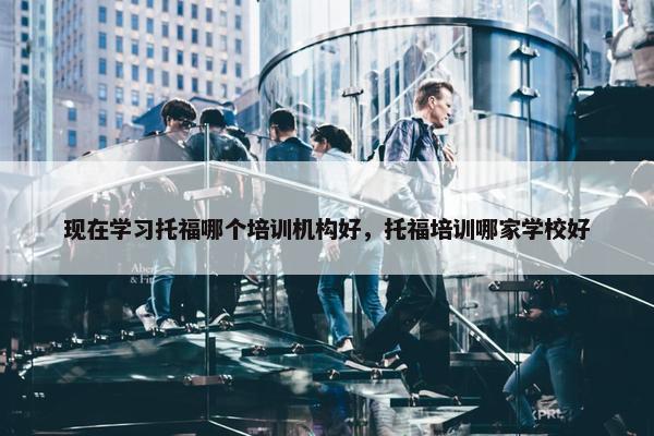 现在学习托福哪个培训机构好，托福培训哪家学校好
