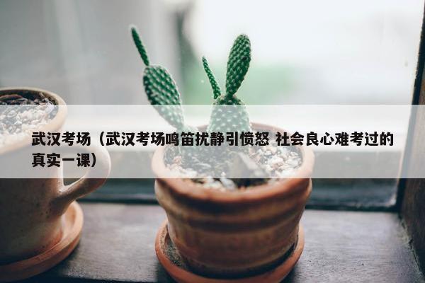 武汉考场（武汉考场鸣笛扰静引愤怒 社会良心难考过的真实一课）