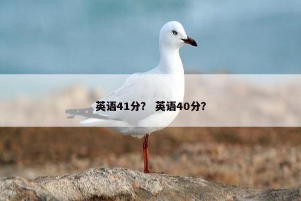 英语41分？ 英语40分？