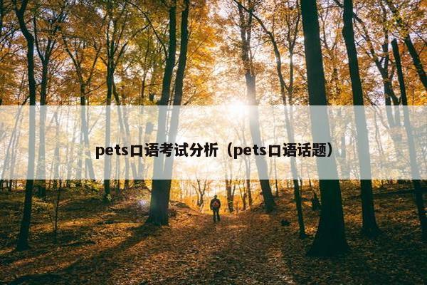 pets口语考试分析（pets口语话题）