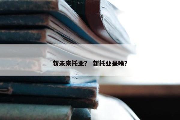 新未来托业？ 新托业是啥？