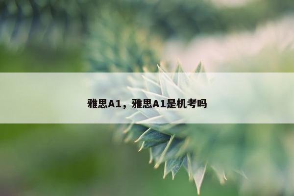 雅思A1，雅思A1是机考吗