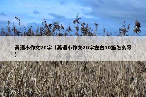 英语小作文20字（英语小作文20字左右10篇怎么写）