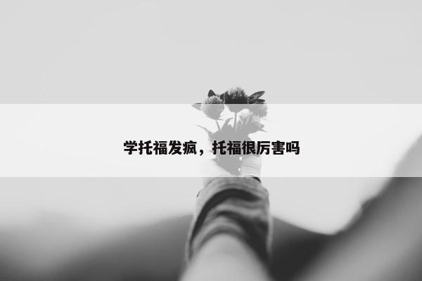 学托福发疯，托福很厉害吗