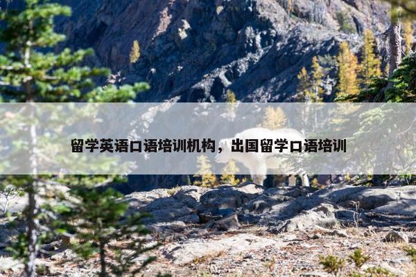 留学英语口语培训机构，出国留学口语培训
