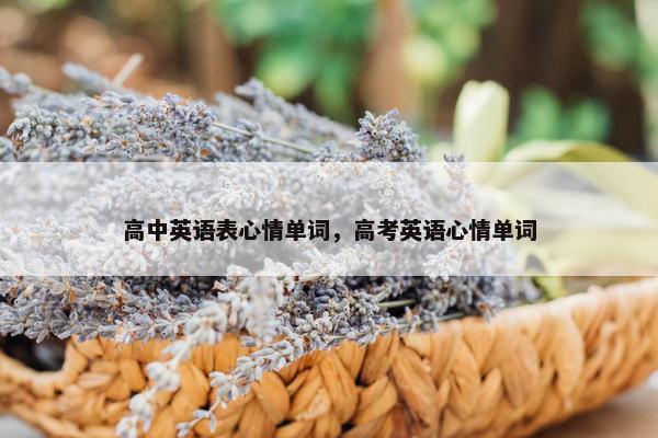 高中英语表心情单词，高考英语心情单词