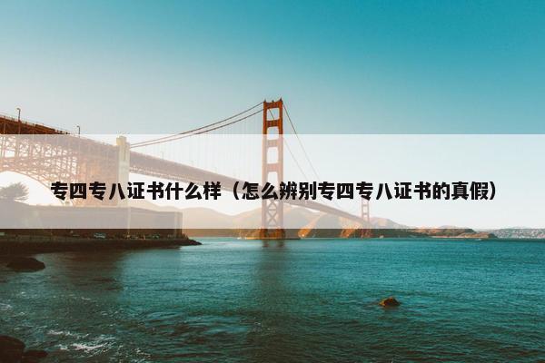专四专八证书什么样（怎么辨别专四专八证书的真假）