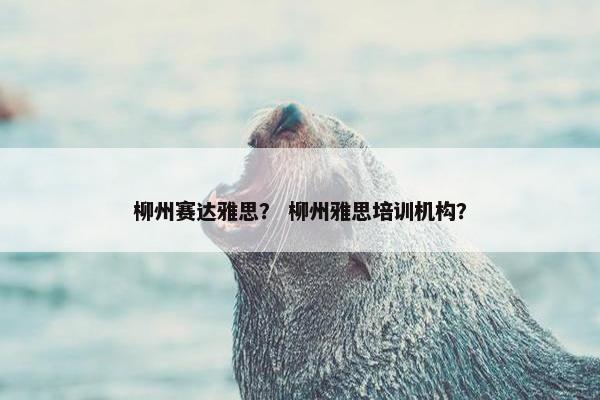 柳州赛达雅思？ 柳州雅思培训机构？