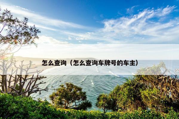 怎么查询（怎么查询车牌号的车主）