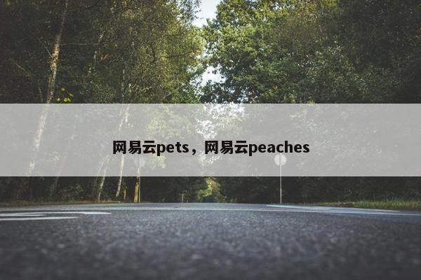 网易云pets，网易云peaches