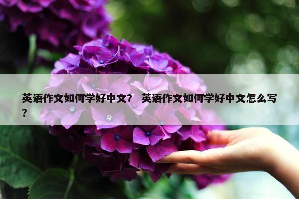英语作文如何学好中文？ 英语作文如何学好中文怎么写？