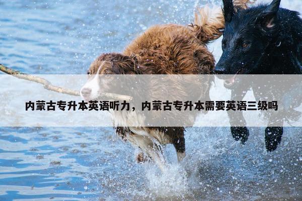内蒙古专升本英语听力，内蒙古专升本需要英语三级吗