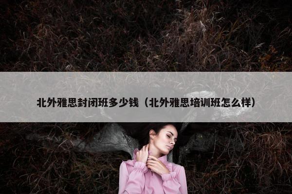 北外雅思封闭班多少钱（北外雅思培训班怎么样）