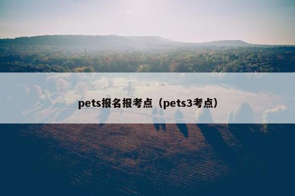 pets报名报考点（pets3考点）