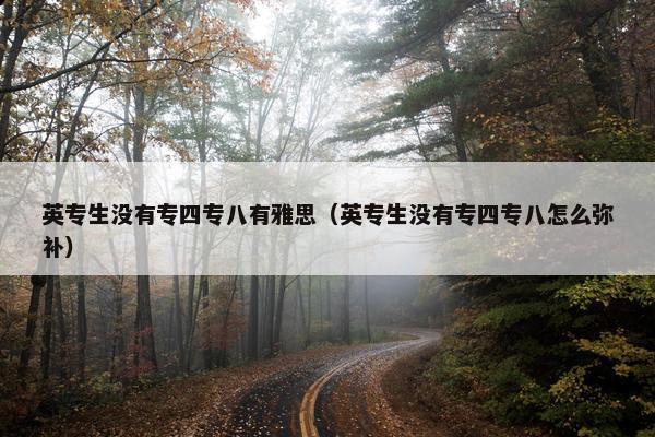 英专生没有专四专八有雅思（英专生没有专四专八怎么弥补）