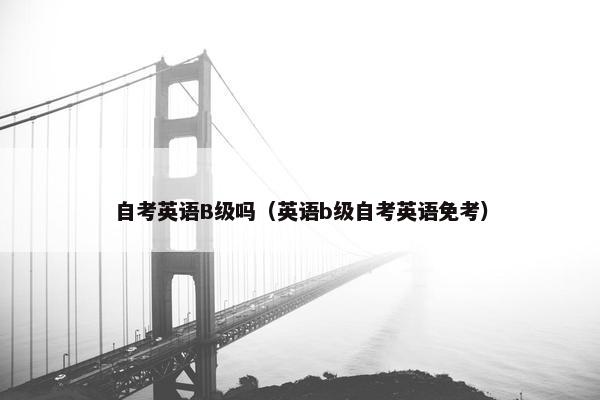 自考英语B级吗（英语b级自考英语免考）