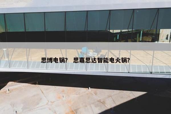思博电锅？ 思嘉思达智能电火锅？
