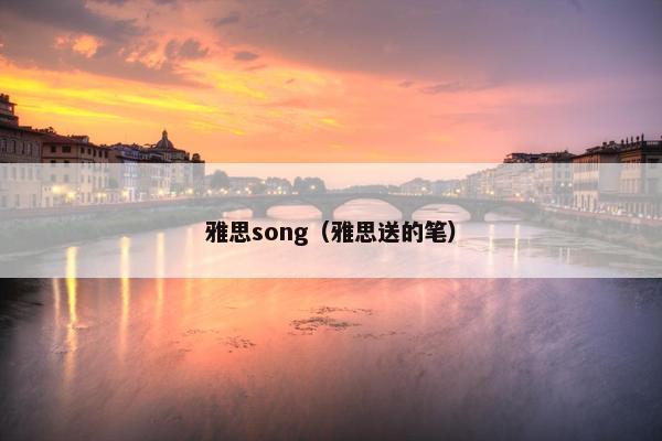 雅思song（雅思送的笔）