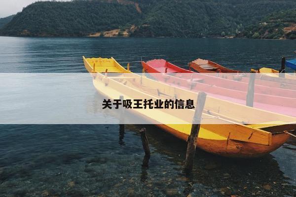 关于吸王托业的信息