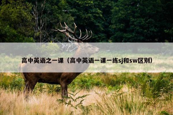 高中英语之一课（高中英语一课一练sj和sw区别）