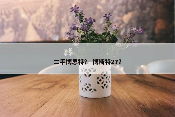 二手博思特？ 博斯特27？