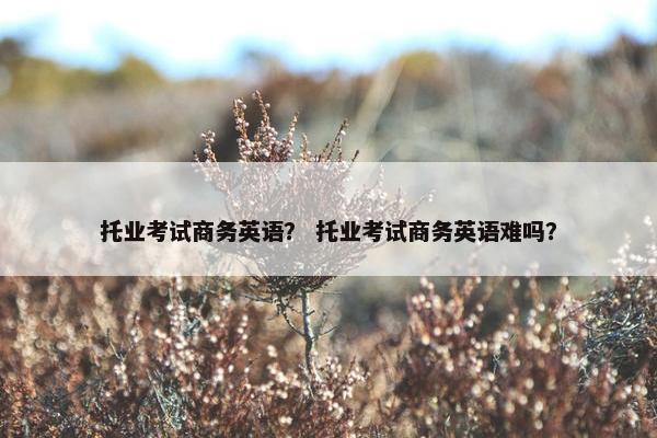 托业考试商务英语？ 托业考试商务英语难吗？