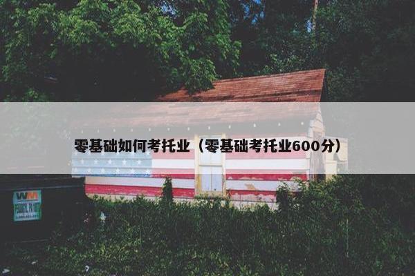 零基础如何考托业（零基础考托业600分）