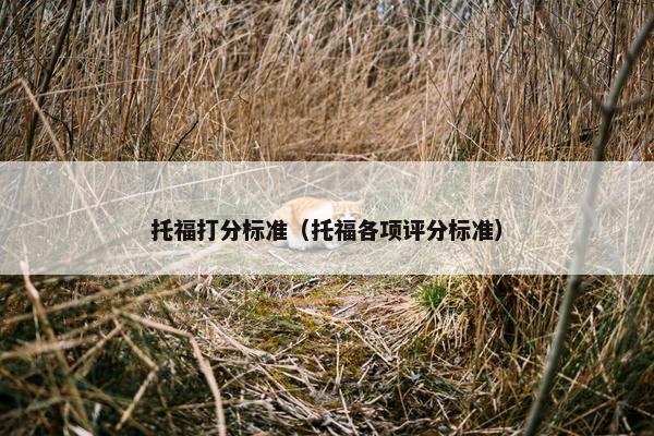 托福打分标准（托福各项评分标准）