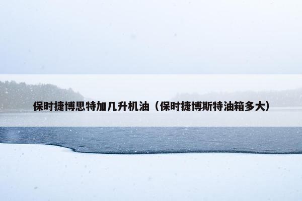 保时捷博思特加几升机油（保时捷博斯特油箱多大）