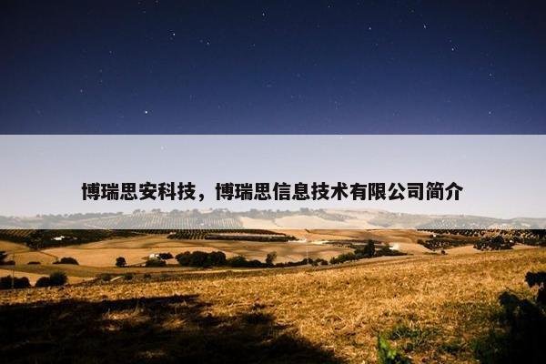 博瑞思安科技，博瑞思信息技术有限公司简介