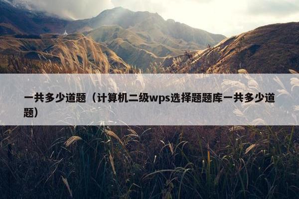 一共多少道题（计算机二级wps选择题题库一共多少道题）