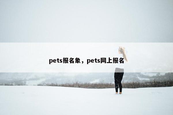 pets报名象，pets网上报名