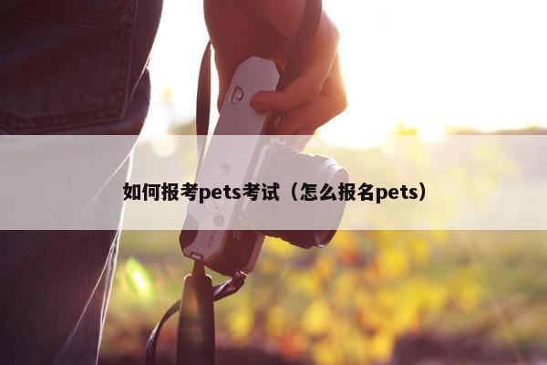 如何报考pets考试（怎么报名pets）