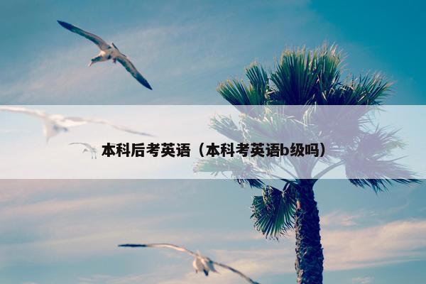 本科后考英语（本科考英语b级吗）