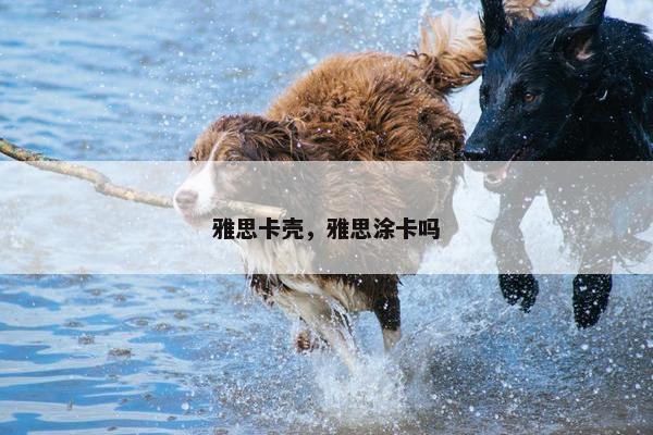 雅思卡壳，雅思涂卡吗