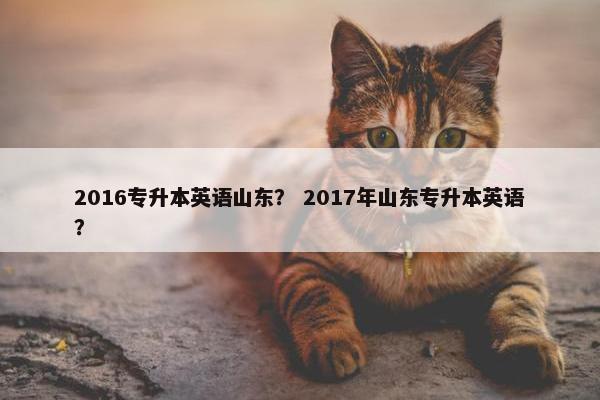 2016专升本英语山东？ 2017年山东专升本英语？