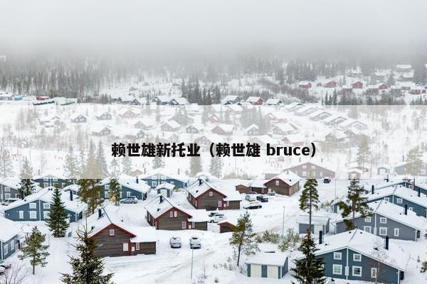 赖世雄新托业（赖世雄 bruce）